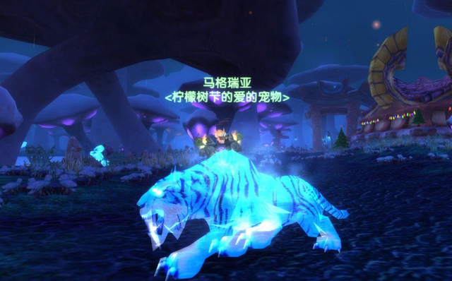 魔兽世界tbc兽王猎带什么饰品