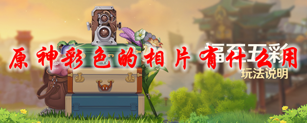 原神彩色的相片有什么用
