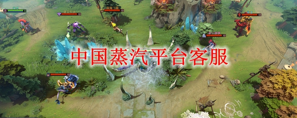 蒸汽平台客服中心