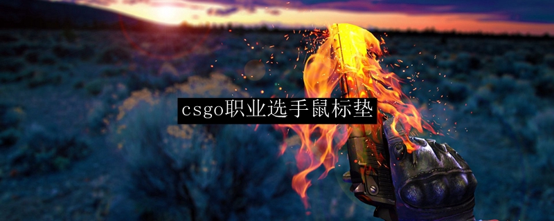 csgo职业选手鼠标垫选择