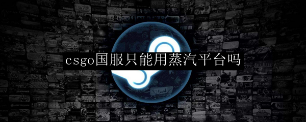 csgo国服只能用蒸汽平台吗
