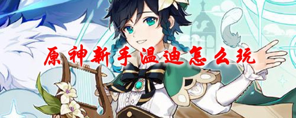 原神新手温迪怎么玩