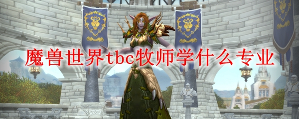 魔兽世界tbc牧师学什么专业