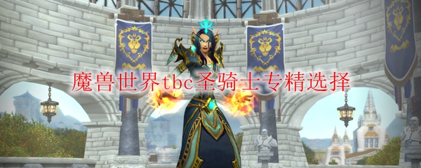 魔兽世界tbc圣骑士专精选择
