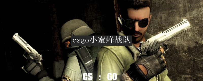 csgo小蜜蜂战队