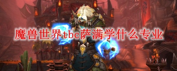 魔兽世界tbc萨满学什么专业