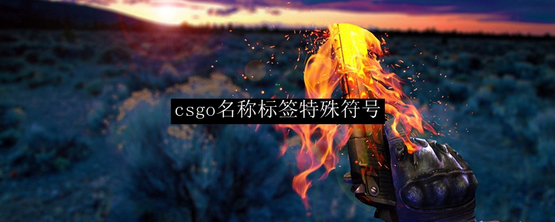 csgo名称标签特殊符号