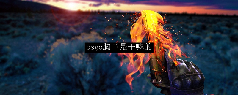 csgo胸章是干嘛的