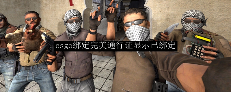 csgo注册完美通行证手机号已被使用