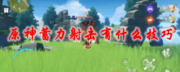原神蓄力射击有什么技巧