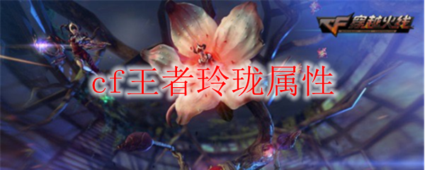 cf王者玲珑属性