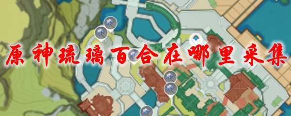 原神琉璃百合在哪里采集
