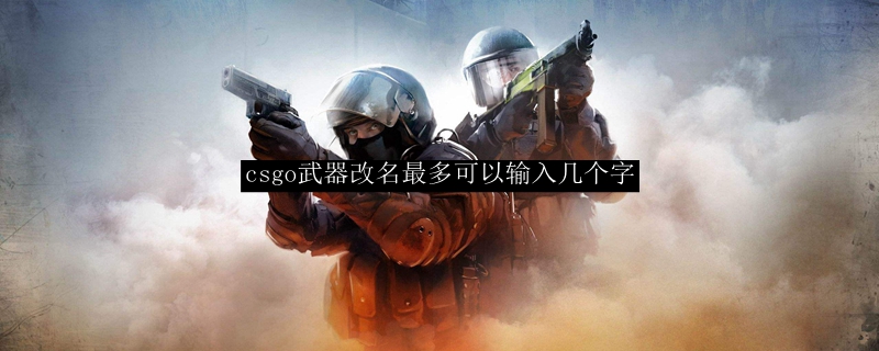csgo武器改名最多可以输入几个字