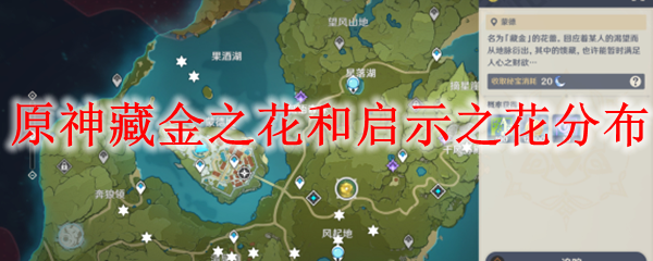 原神藏金之花和启示之花分布