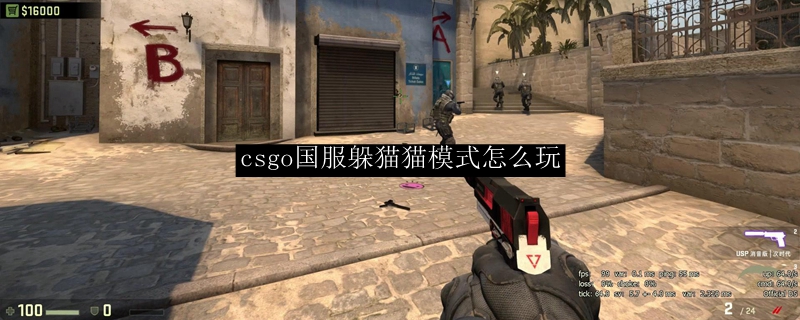 csgo国服躲猫猫模式怎么玩