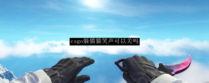 csgo躲猫猫笑声可以关吗