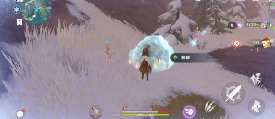 原神冷鲜肉哪里多