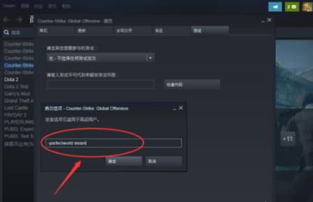 csgo国服启动项怎么关