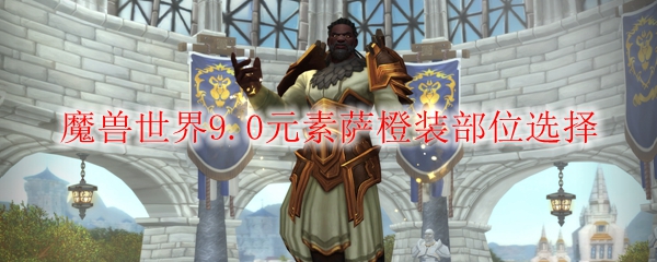 魔兽世界9.0元素萨橙装部位选择