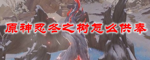 原神忍冬之树怎么供奉