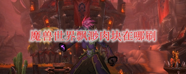 魔兽世界飘渺肉块在哪刷