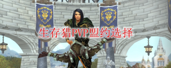 魔兽世界9.0生存猎PVP盟约选择