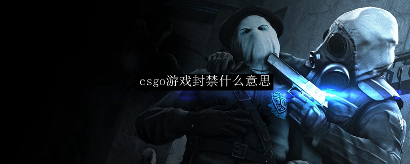 csgo游戏封禁什么意思