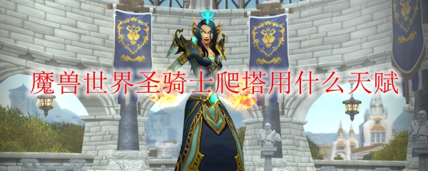 魔兽世界圣骑士爬塔用什么天赋