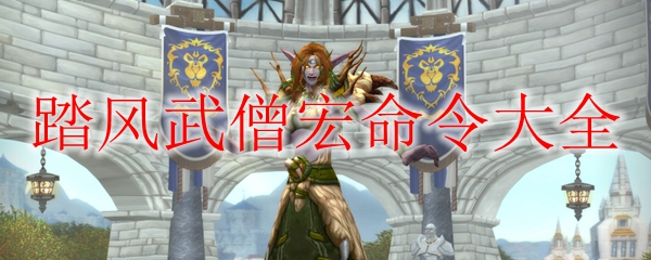《魔兽世界》9.0踏风武僧宏命令大全