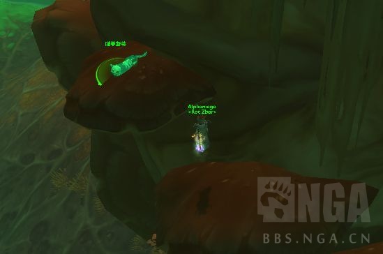 《魔兽世界》喵菲斯特宠爱该死的猫怎么做