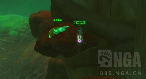 《魔兽世界》喵菲斯特宠爱该死的猫怎么做