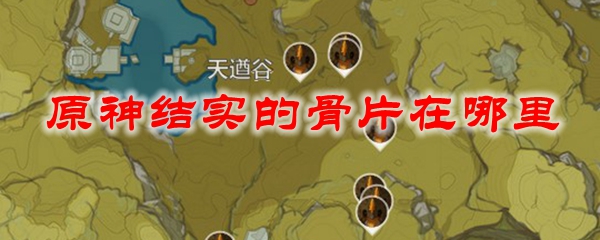 原神结实的骨片在哪里
