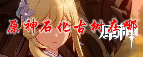 原神石化古树在哪