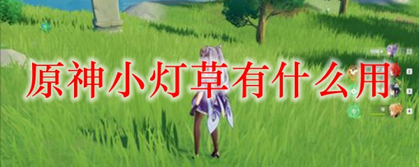 原神小灯草有什么用