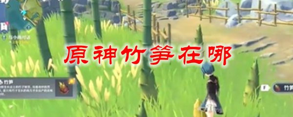 原神竹笋在哪