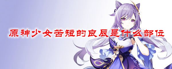 原神少女苦短的良辰是什么部位