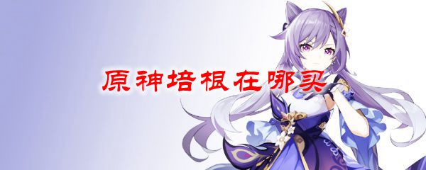 原神培根在哪买