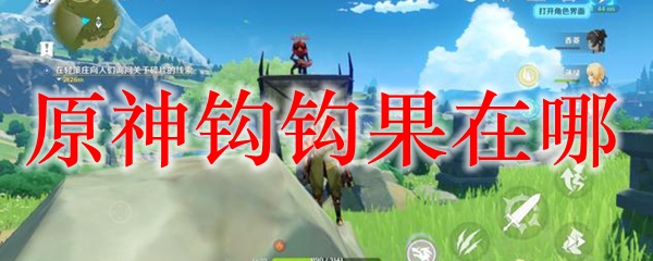 原神钩钩果在哪