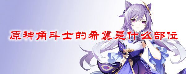 原神角斗士的希冀是什么部位