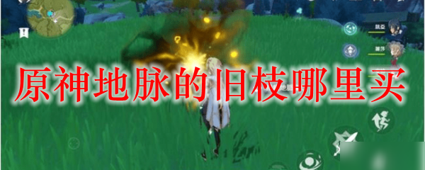 原神地脉的旧枝哪里买