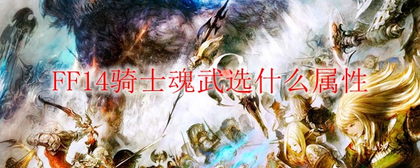 FF14骑士魂武选什么属性