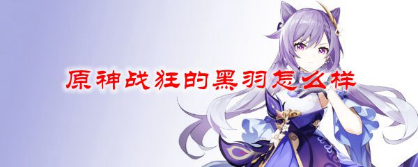 原神战狂的黑羽怎么样