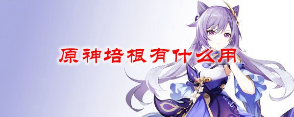 原神培根有什么用