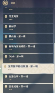 原神有一说一成就