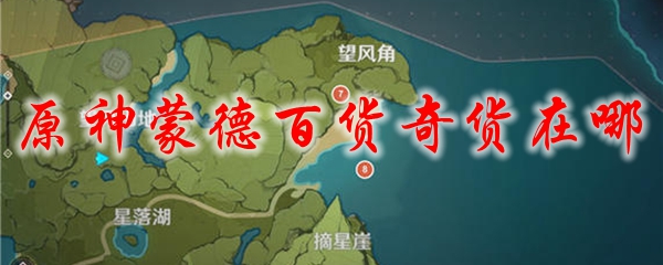 原神蒙德百货奇货在哪
