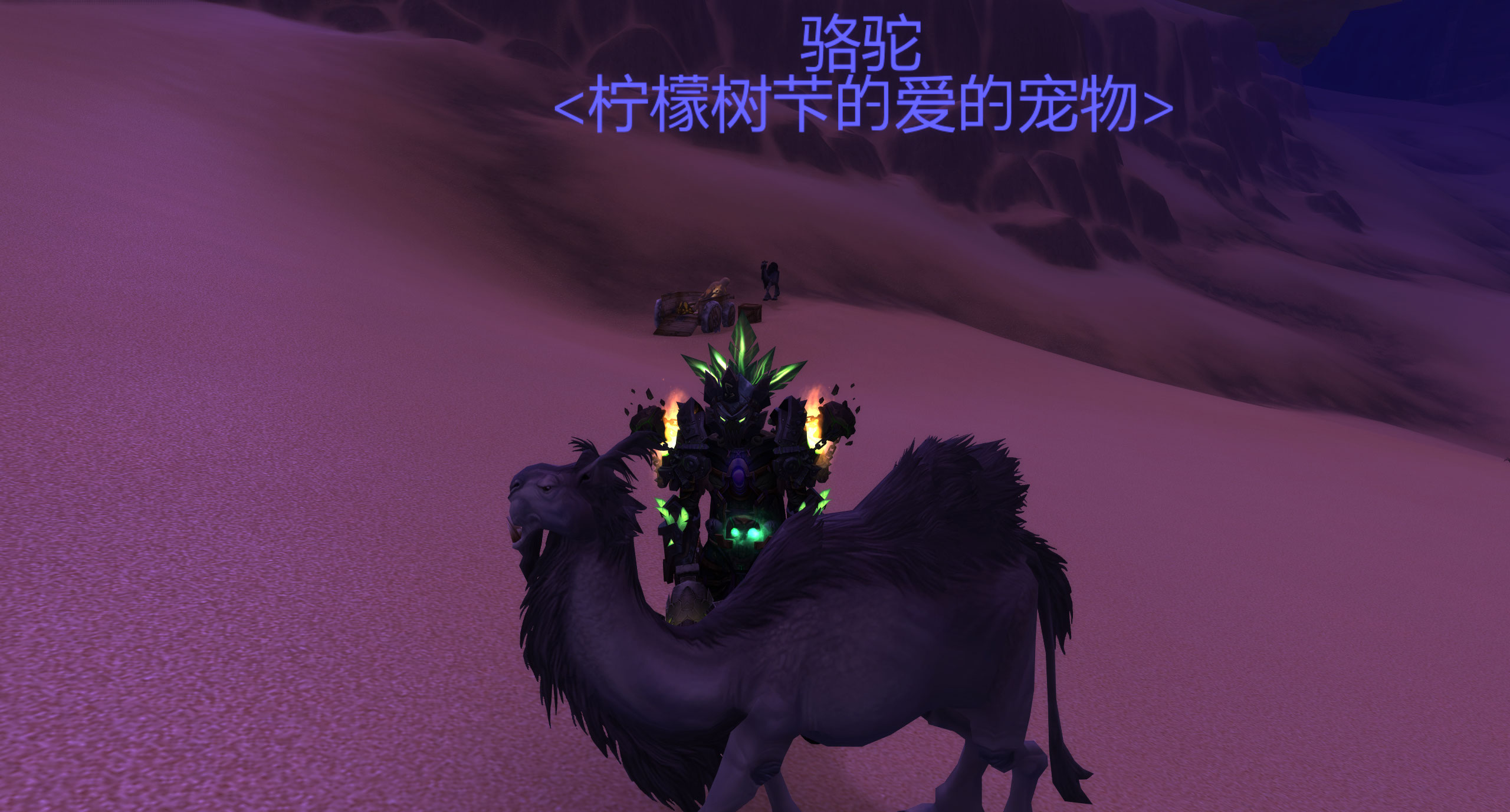 《魔兽世界》灰色骆驼抓取地点