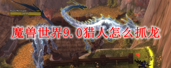魔兽世界9.0猎人怎么抓龙