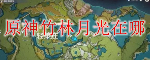 原神竹林月光在哪