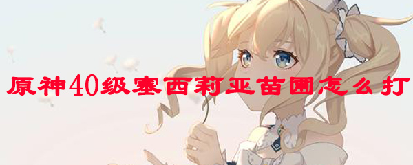 原神40级塞西莉亚苗圃怎么打