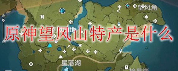 原神望风山特产是什么